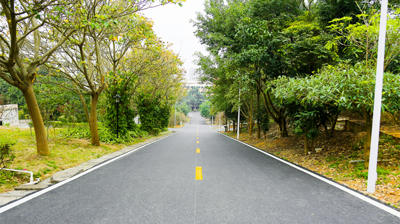 校道
