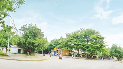十字路口