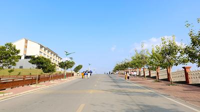 校园小路