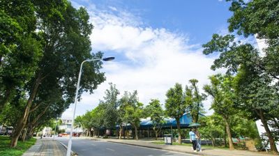 十字路口校道