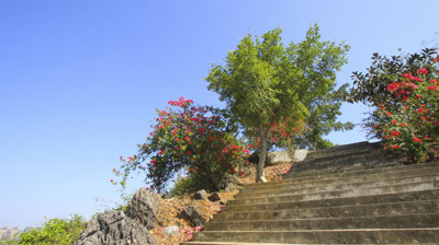 蝴蝶山（山顶景观）