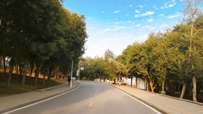 校道