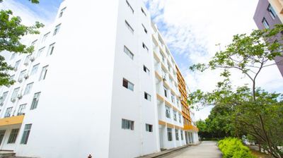维新楼侧面