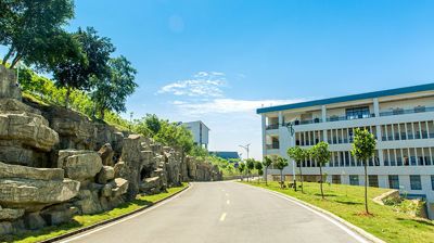 校园小路