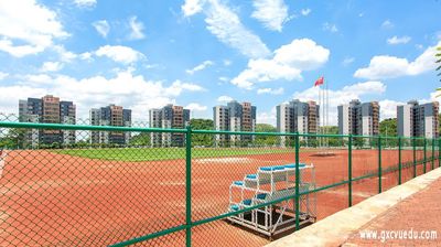 校园景致