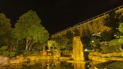 飞龙在天（夜景）