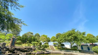 飞龙在天景区