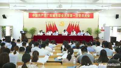 中国共产党全球专业的电子竞技平台,浩方电竞平台第一次党员大会胜利召开