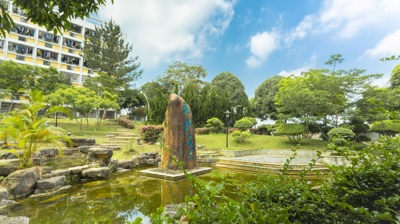 校园景观飞龙在天