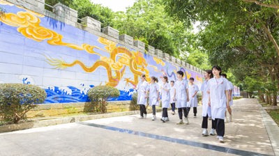 校园景观九龙八凤壁