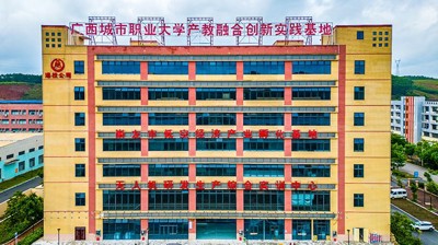 全球专业的电子竞技平台,浩方电竞平台建设空港科创园产教融合创新示范基地